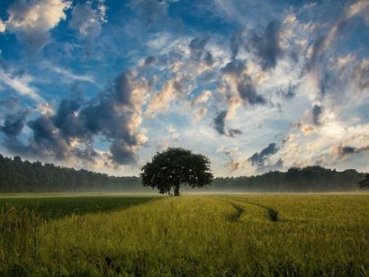 Weather and Climate: A Teachers’ Guide