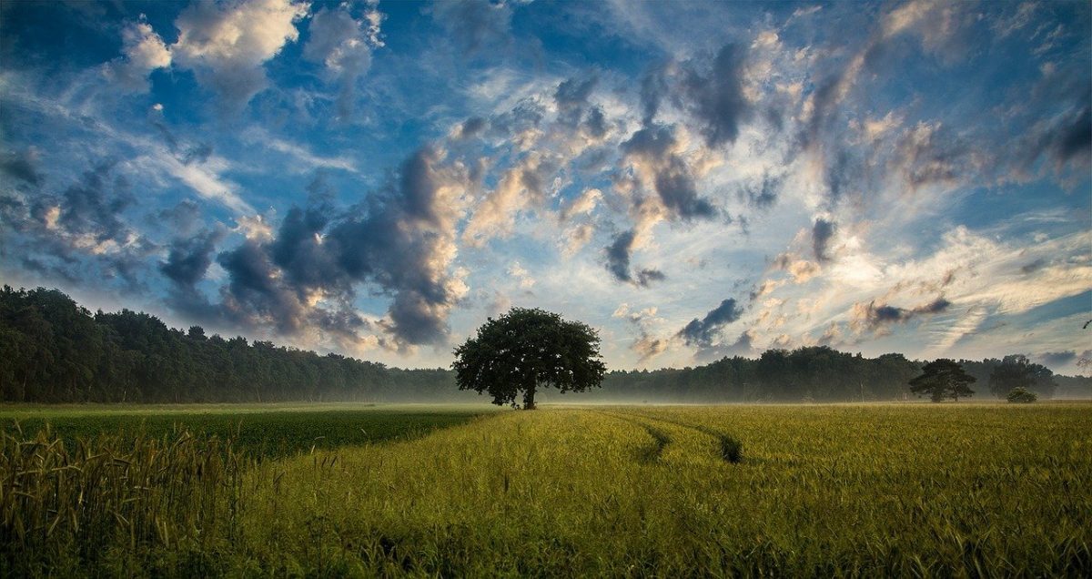 weather &amp; climate image