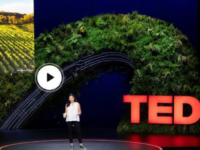 The hidden power of soil to combat the climate crisis