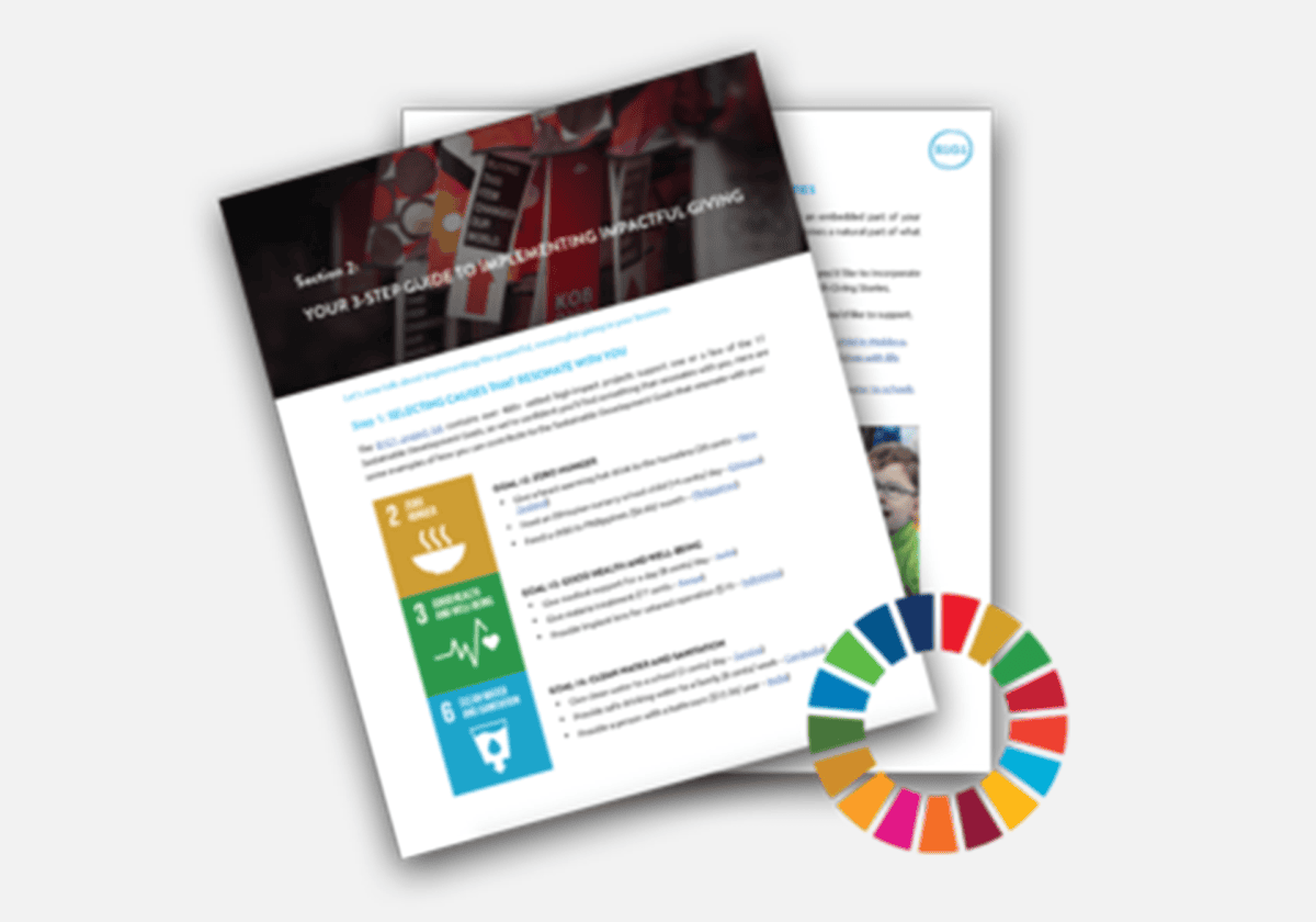 Business SDG guide