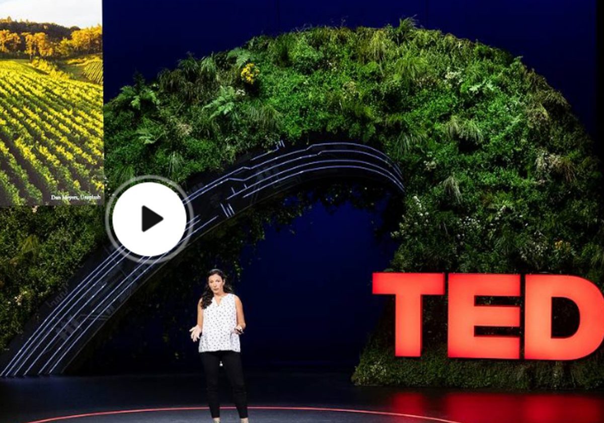 TED talk