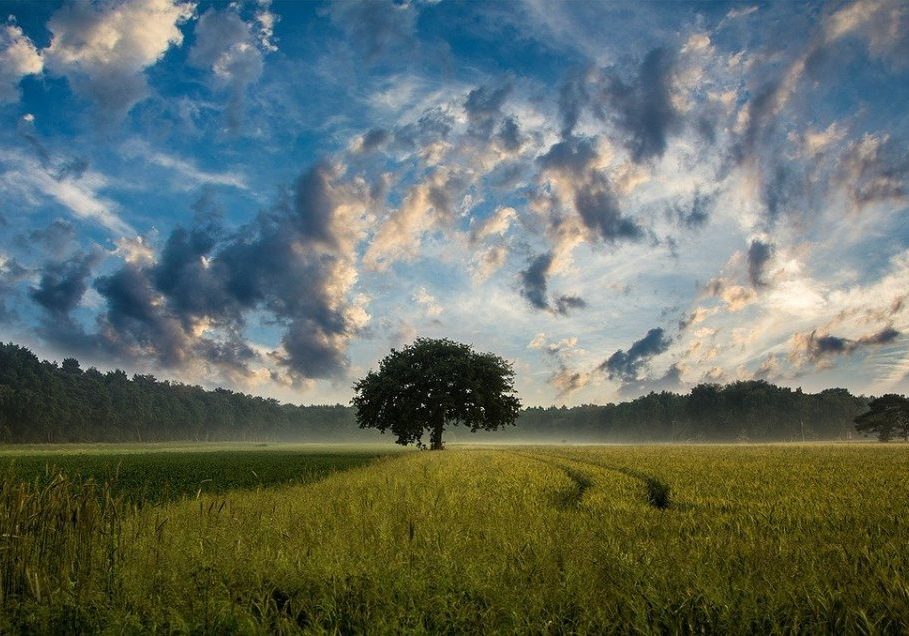 weather &amp; climate image