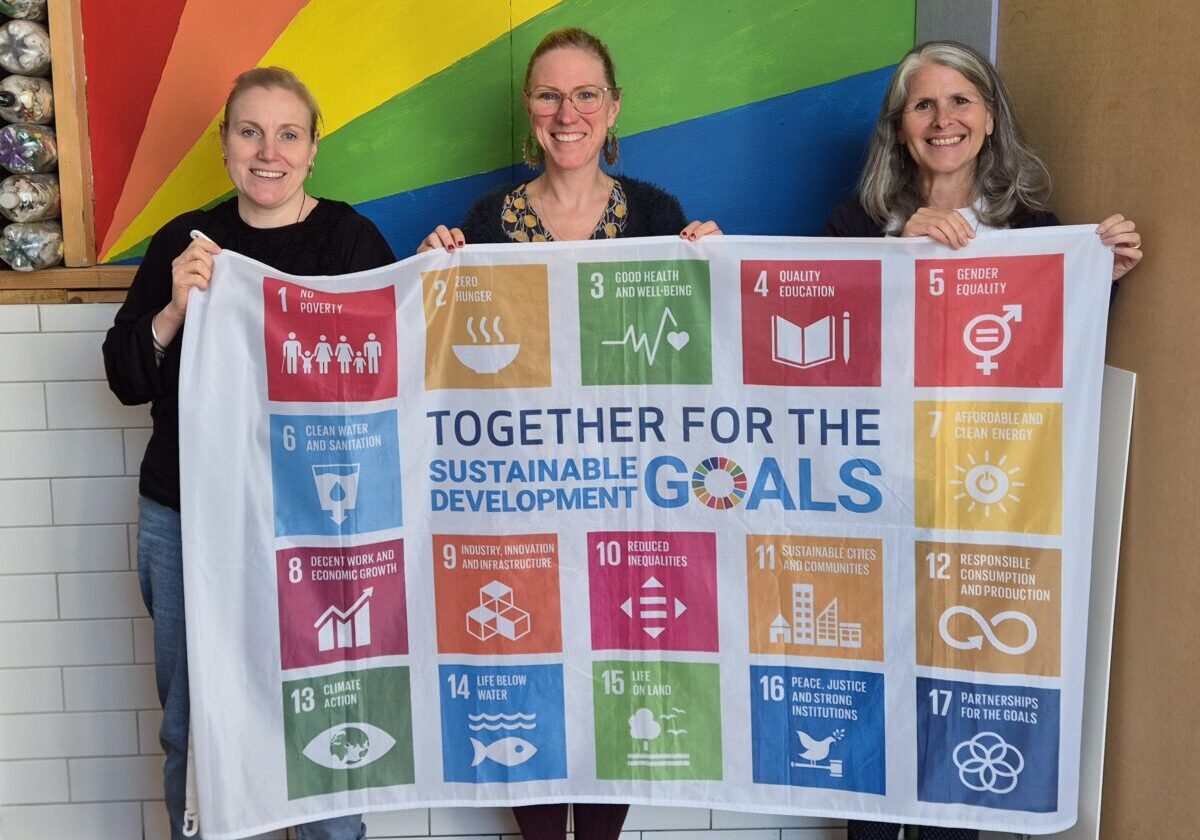 SDG flag